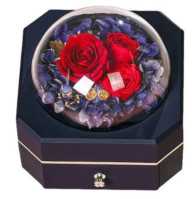 OEM 재생된 0.406kg 보석 선물 상자 플라스틱 115×115×110mm
